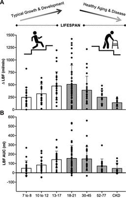 We like to move it, move it: A perspective on performing passive leg movement as a non-invasive assessment of vascular function in pediatric populations